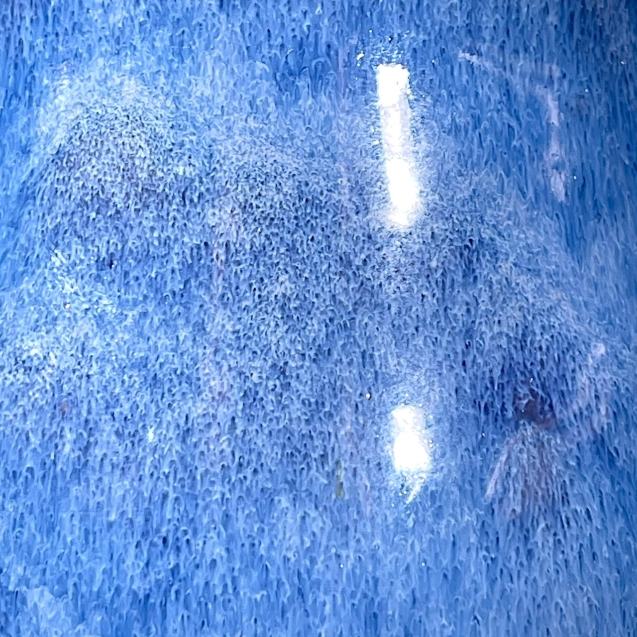 Sapphire Footed Trout Mug - Image 6