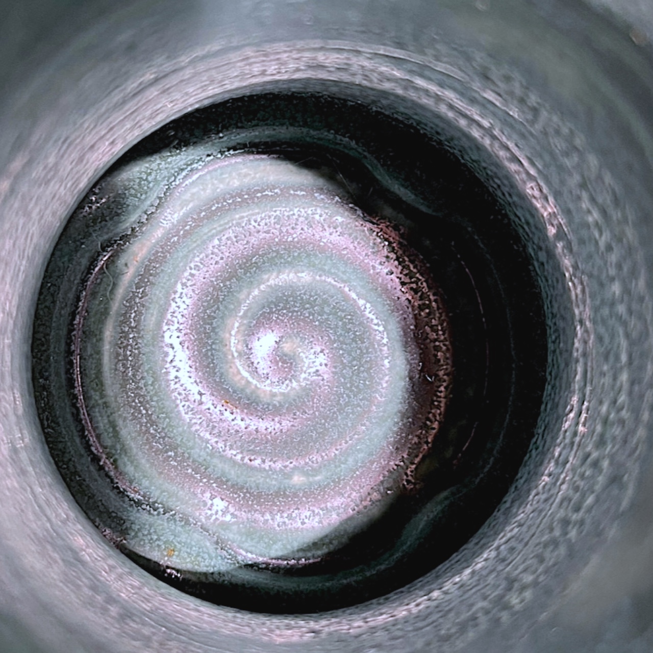 Golden Chanterelle Cup - Image 6