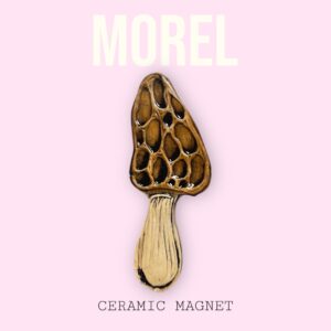 Morel Magnet