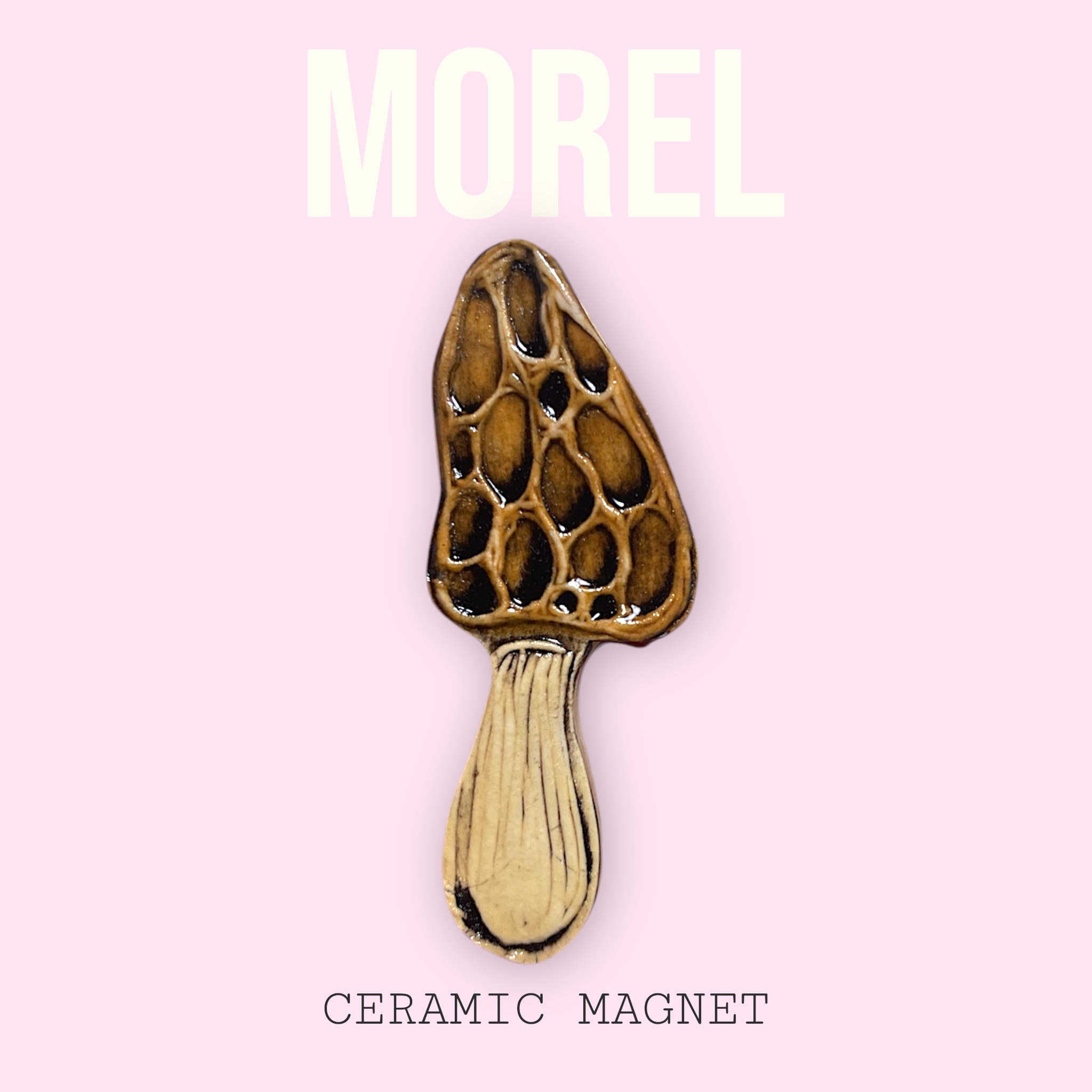 Morel Magnet